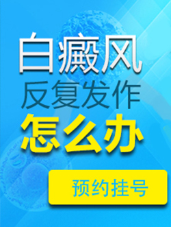 免費體驗308系統